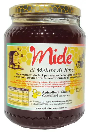 MIELE ITALIANO DI MELATA DI BOSCO